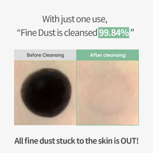 Farmstay Tea Tree Biome Calming Cleansing Water Special Set (400ml+100ml)