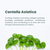 Farmstay Cica Farm Regenerating Solution Emulsion (200ml)