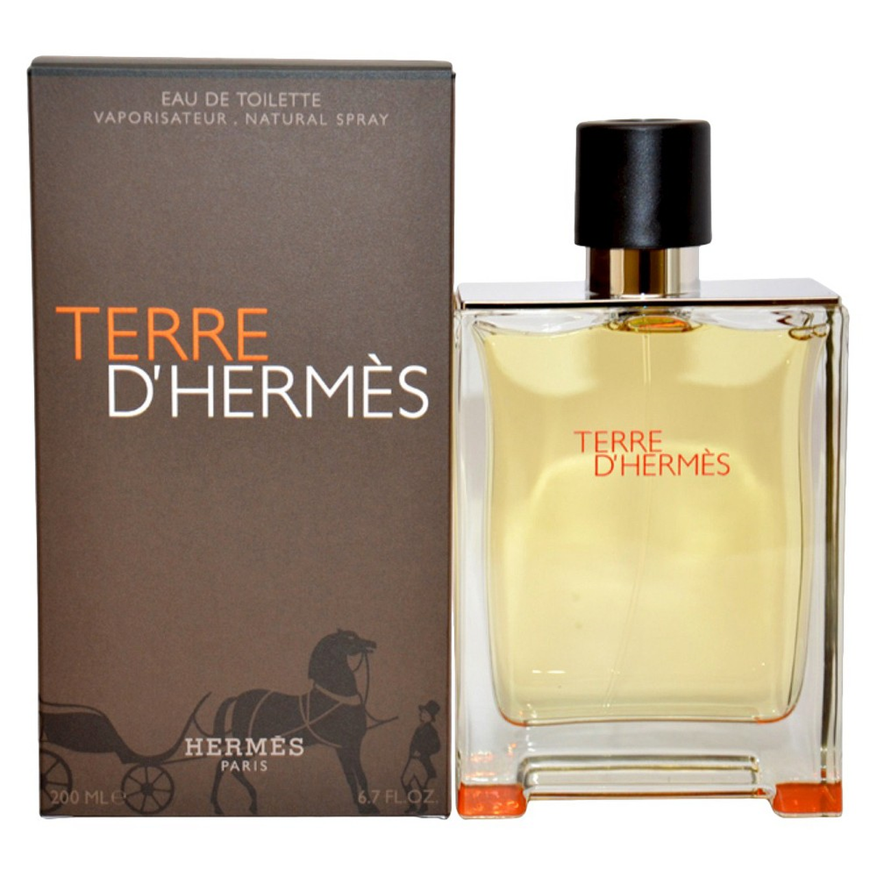 Terre D'Hermès EDT Men