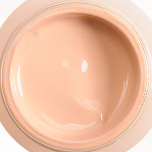 Shiseido Future Solution LX Total Radiance Foundation SkingenecellEnmei 30ml